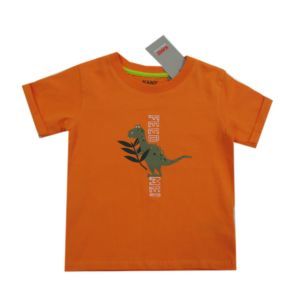 Kanz Jungen T-Shirt Dino Gr. 62-92